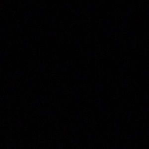 Meet your Posher, Jasper